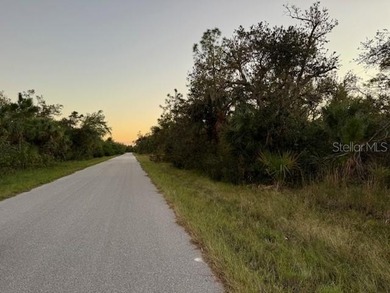 REDUCED PRICE on this VACANT LOT located in a developing area of - photo 4