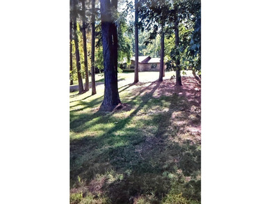 Discover the perfect blend of privacy and outdoor adventure at - photo 2