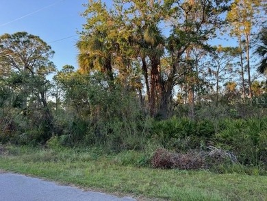 Port Charlotte Waterway Area Lot For Sale in Port Charlotte Florida