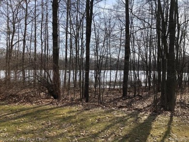 Lake Lot Off Market in Howell, Michigan