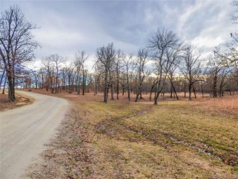 LOOKING FOR A LOT NEAR BLUE WATER WITH A BOAT SLIP OPTION? This - Lake Lot For Sale in Porum, Oklahoma