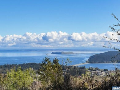Water & Mt View Lot on Bell Hill For $160K! Enjoy this easy to - photo 2