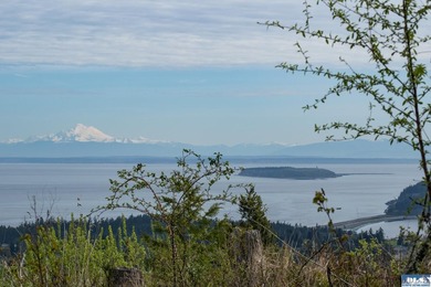Water & Mt View Lot on Bell Hill For $160K! Enjoy this easy to - photo 3