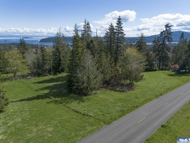 Water & Mt View Lot on Bell Hill For $160K! Enjoy this easy to - photo 8