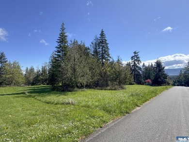 Water & Mt View Lot on Bell Hill For $160K! Enjoy this easy to - photo 9