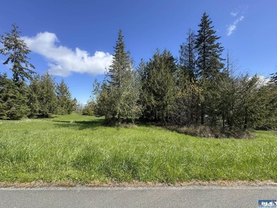 Water & Mt View Lot on Bell Hill For $160K! Enjoy this easy to - photo 10