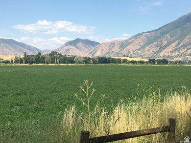 Utah Lake Acreage For Sale in Spanish Fork Utah