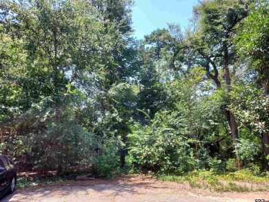 Lake Lot For Sale in Hideaway, Texas