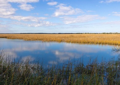 Welcome to this beautifully maintained Marsh Winds end-unit