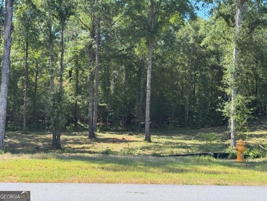 Lot 1, 100 Falls Lane, Milledgeville, Georgia - a prime wooded - photo 3