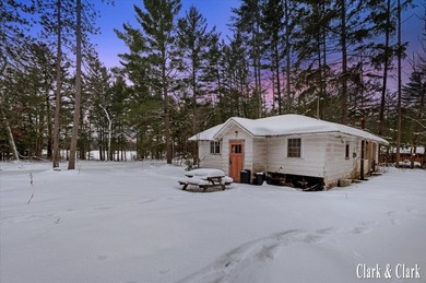 North Lake - Lake County Home For Sale in Baldwin Michigan