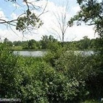 Upper Silver Lake Acreage For Sale in Pontiac Michigan
