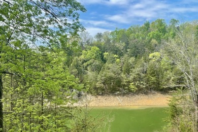  Acreage For Sale in Sevierville Tennessee