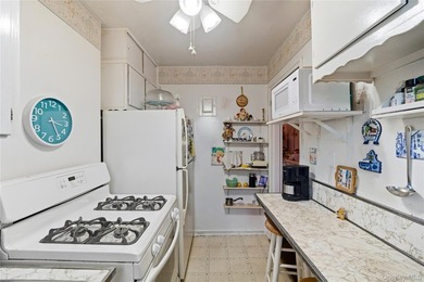 Charming 2 Bedrooms, 1 Full Bath Upper Unit in Bell Park Manor - photo 19