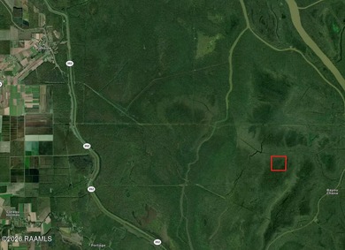 (private lake, pond, coastal) Commercial For Sale in Saint Martinville Louisiana