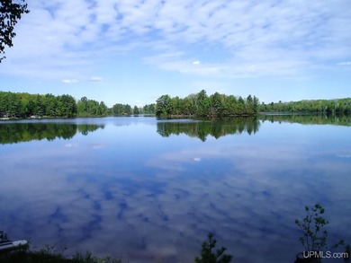Island Lake - Schoolcraft County Home For Sale in Manistique Michigan