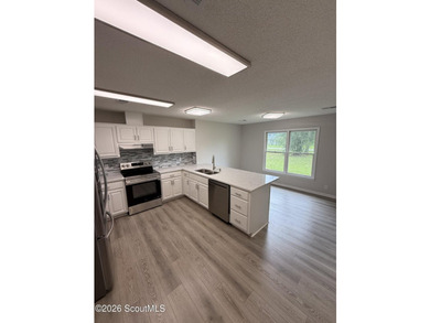 This house is totally remodeled new paint inside and out new - photo 10