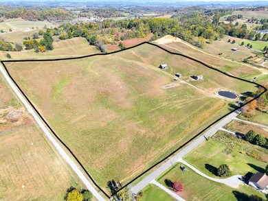 (private lake, pond, creek) Acreage For Sale in Meadowview Virginia