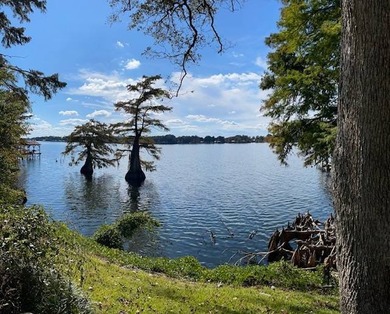 Discover the perfect setting for your dream lake home on - photo 3