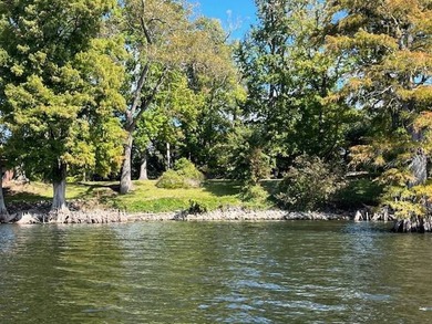 Discover the perfect setting for your dream lake home on - photo 4
