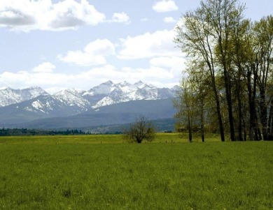 Bitterroot River - Ravalli County Acreage Active Under Contract in Hamilton Montana