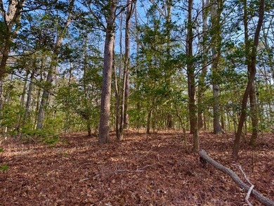 Enjoy a peaceful, private setting on Ewells Prong just off White - photo 22