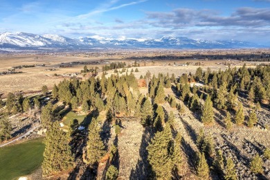 Bitterroot River - Ravalli County Acreage For Sale in Hamilton Montana