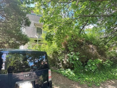 Bring your architect and your vision to this massive 50' x 125' - photo 3