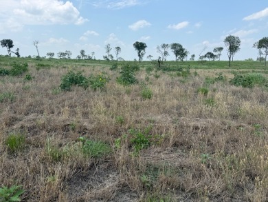 Waterfront Lot 2+ Acres - New Subdivision! - photo 13