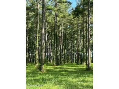 Neuse River Lot For Sale in Oriental North Carolina