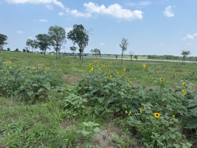 Waterfront Lot 2+ Acres - New Subdivision! - photo 27