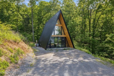 Lake Home For Sale in Newport, Tennessee
