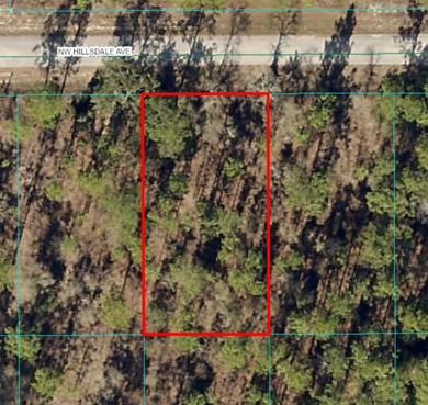 Bonable Lake Lot For Sale in Dunnellon Florida
