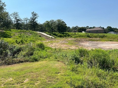 This Centrally Located lot are just off Hwy 6 near Pendleton - photo 3