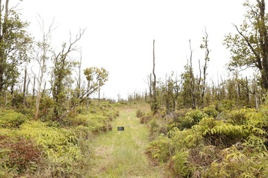 Located less than a block from the main paved road, Ala Kapena - photo 11