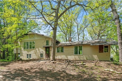 Lake Home For Sale in Birchwood, Minnesota