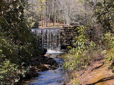 (private lake, pond, creek) Acreage For Sale in Cullowhee North Carolina