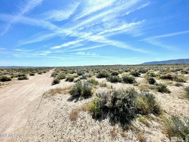 Lake Lahontan Acreage For Sale in Silver Springs Nevada