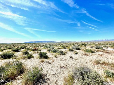 Lake Lahontan Acreage For Sale in Silver Springs Nevada
