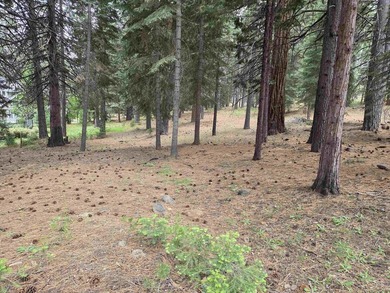 Nice 1.15 acre parcel, gently sloped and beautifully treed. This - photo 1