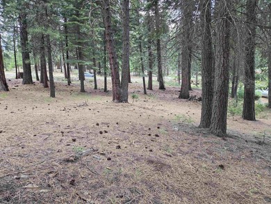Nice 1.15 acre parcel, gently sloped and beautifully treed. This - photo 3