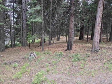Nice 1.15 acre parcel, gently sloped and beautifully treed. This - photo 4