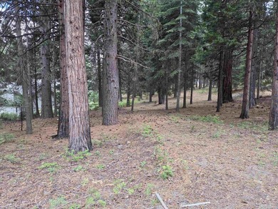 Nice 1.15 acre parcel, gently sloped and beautifully treed. This - photo 5