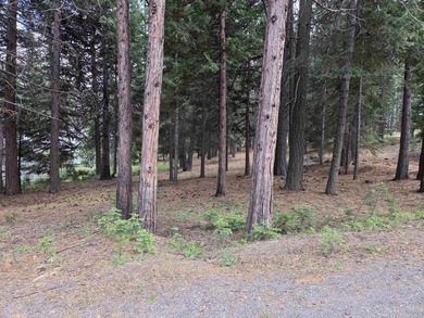 Nice 1.15 acre parcel, gently sloped and beautifully treed. This - photo 7