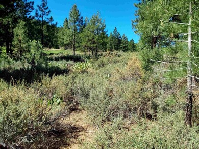 Enlightenment Awaits You on the Dragon's 18th Hole!** Discover - photo 1
