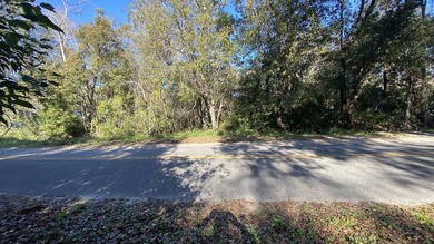 Prime vacant Florida lot ready for your vision. Whether you're - photo 1