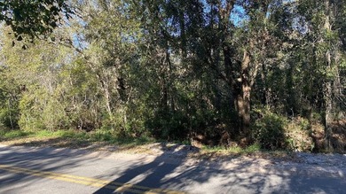 Prime vacant Florida lot ready for your vision. Whether you're - photo 3