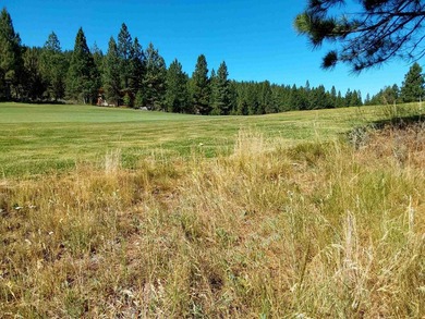 Enlightenment Awaits You on the Dragon's 18th Hole!** Discover - photo 4