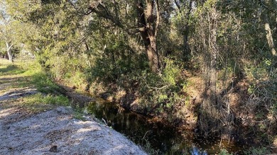 Prime vacant Florida lot ready for your vision. Whether you're - photo 4
