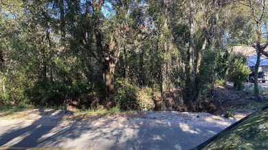 Prime vacant Florida lot ready for your vision. Whether you're - photo 5